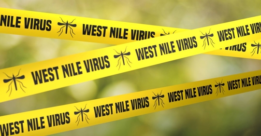 Mosquito warning tape