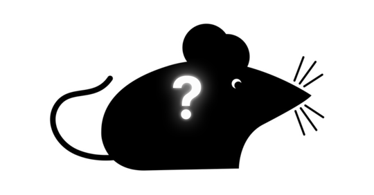 Mouse with a question mark