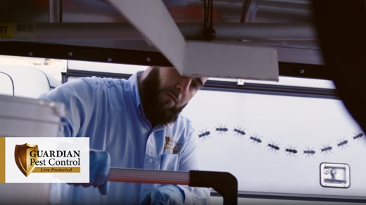 Male pest control worker grabbing equipment from truck