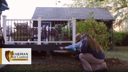 Two pest control workers crouching to inspect exterior home