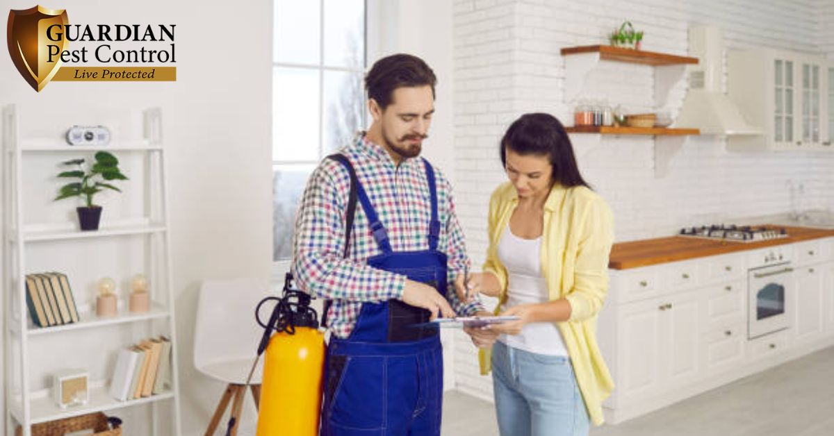 Why Professional Pest Control Is More Effective Than DIY Methods